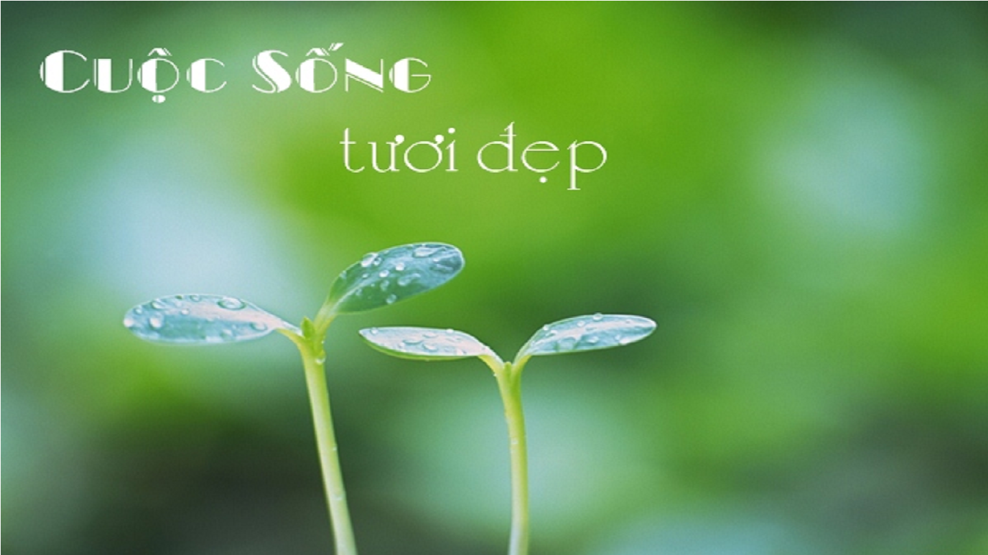 Hình ảnh: Hãy sống một cuộc đời ý nghĩa